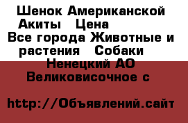 Шенок Американской Акиты › Цена ­ 35 000 - Все города Животные и растения » Собаки   . Ненецкий АО,Великовисочное с.